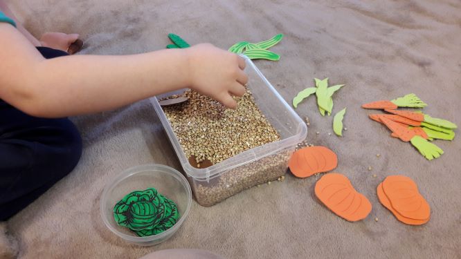 фото дист3 изм