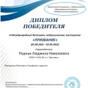 Участие в профессиональных конкурсах