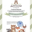 Дипломы обучающихся