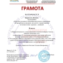 Достижения обучающихся