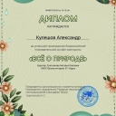 Дипломы обучающихся